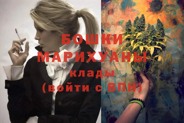 Альфа ПВП Верея