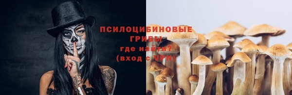 стаф Бугульма