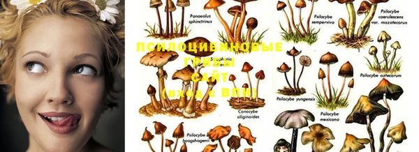 MESCALINE Верхний Тагил